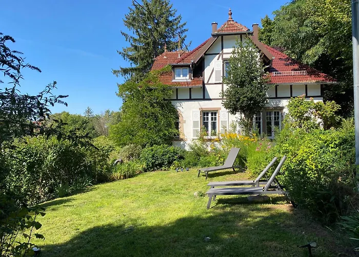 La Villa Des Oiseaux - La Petite Pierre