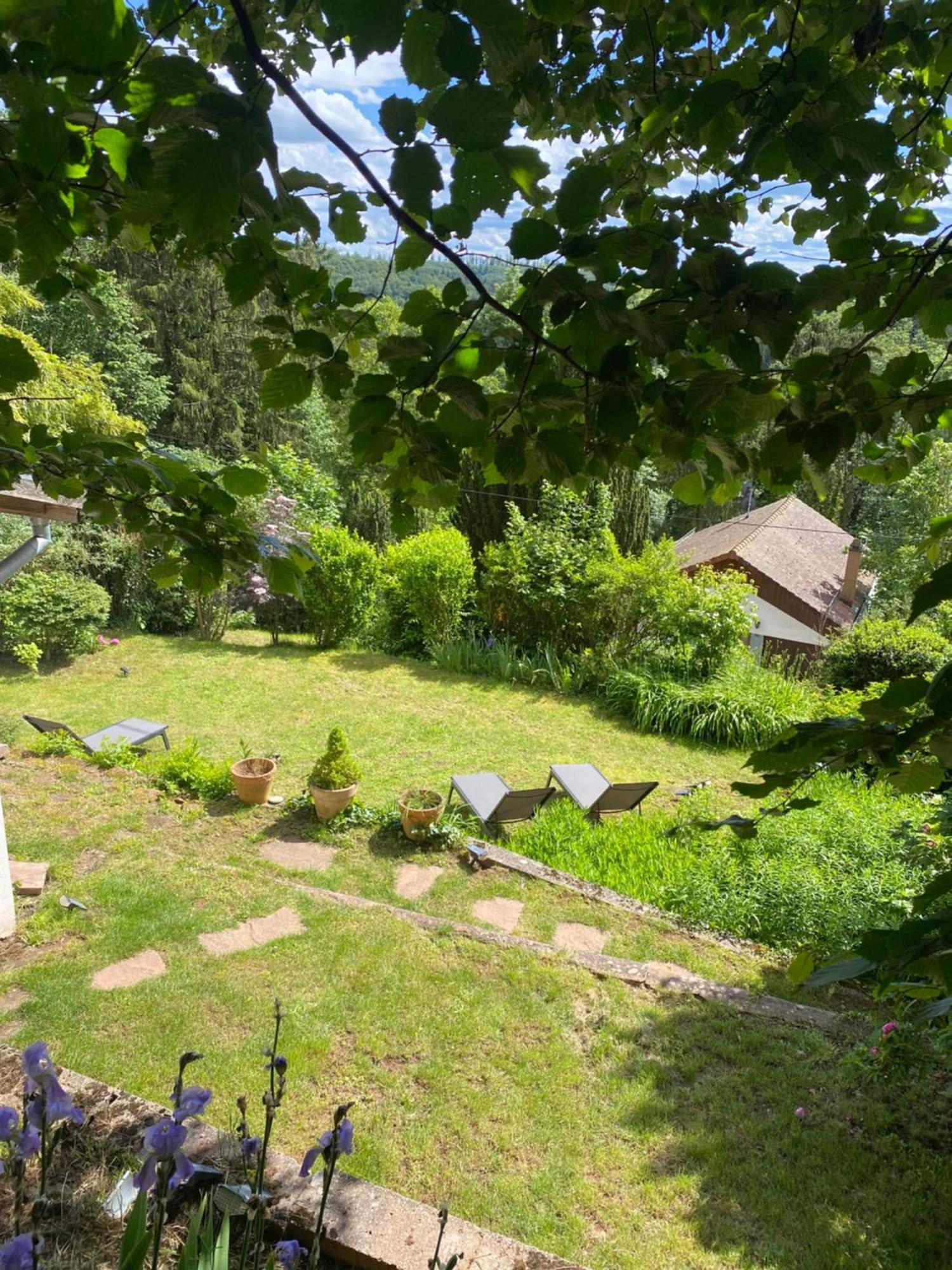 La Des Oiseaux - Pierre Holiday home *